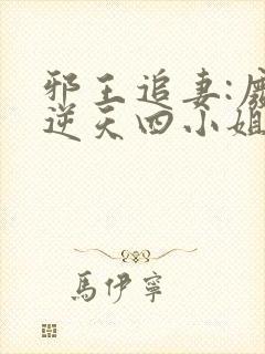 邪王追妻:废材逆天四小姐