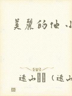 美丽的他 小说