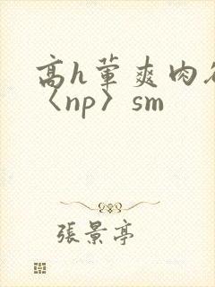 高h荤爽肉欲文〈np〉sm封面
