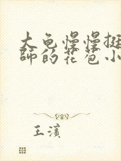 大龟慢慢挺进老师的花苞小说封面