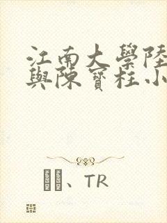 江南大学陆冰嫣与陈宝柱小说封面