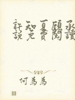许知夏顾承宇小说免费阅读封面