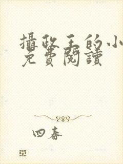 摄政王的小奶娘免费阅读