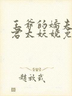 王爷的娇夫:夫君太妖娆免费阅读封面