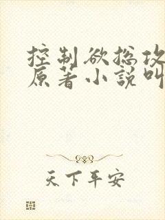 控制欲总攻大人原著小说叫什么
