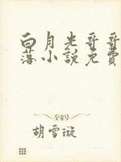白月光哥哥的堕落小说免费阅读