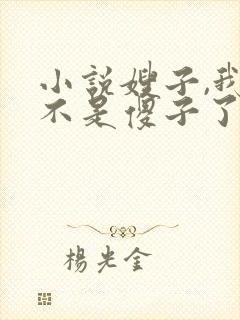 小说嫂子,我真不是傻子了免费阅读