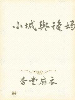 小城与后妈封面