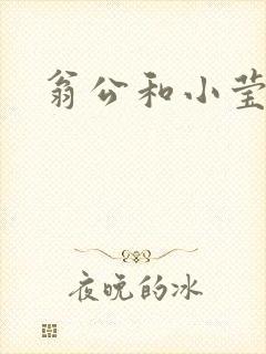 翁公和小莹封面