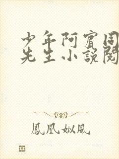 少年阿宾同人胡先生小说阅读