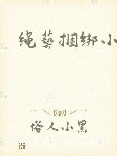 绳艺捆绑小说封面