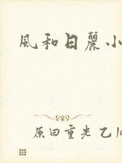 风和日丽小说