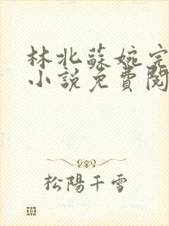 林北苏婉完整版小说免费阅读全文