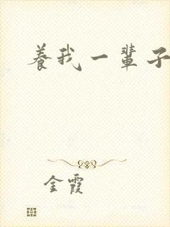 养我一辈子封面