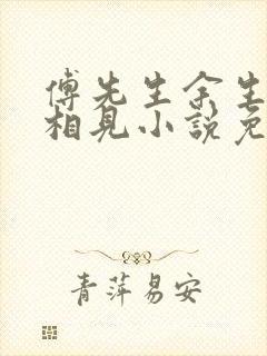 傅先生余生不再相见小说免费阅读