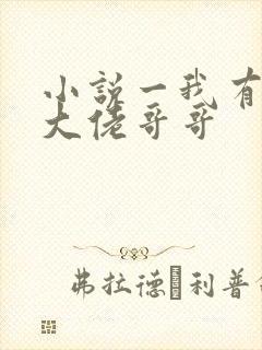 小说一我有七个大佬哥哥