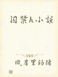 囚禁h小说