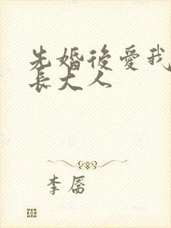 先婚后爱我的市长大人封面