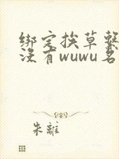 绑定挨草系统后没有wuwu名字封面