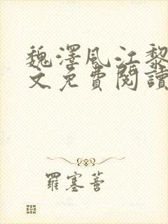 魏泽风江黎雾全文免费阅读