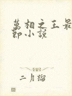 万相之王最新章节小说