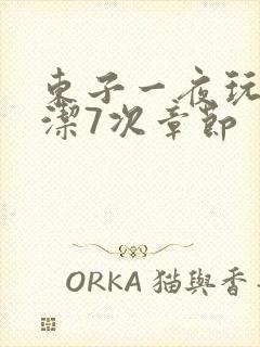 东子一夜玩弄白洁7次章节封面