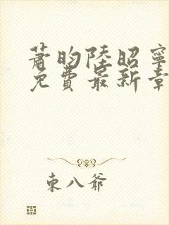 萧昀陆昭宁全文免费最新章节阅读封面