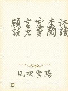 顾言宸李沐歌小说免费阅读