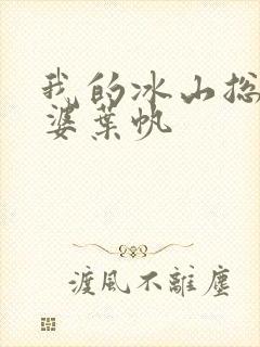 我的冰山总裁老婆叶帆封面