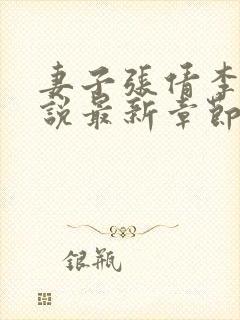 妻子张倩李源小说最新章节更新时间封面