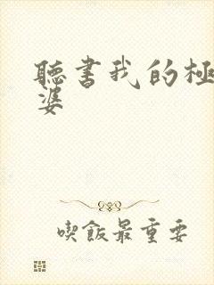 听书我的极品老婆封面