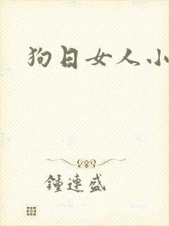 狗日女人小说