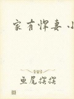 家有悍妻 小说
