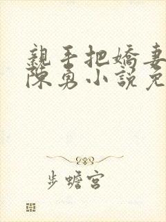 亲手把娇妻嫁给陈勇小说免费阅读封面
