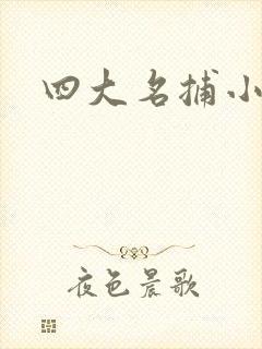 四大名捕小说