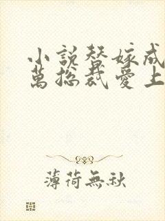 小说替嫁成婚亿万总裁爱上我封面