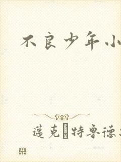 不良少年小说