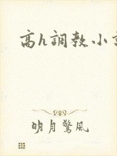 高h调教小说
