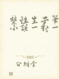 双性生子笔趣阁小说一对一封面