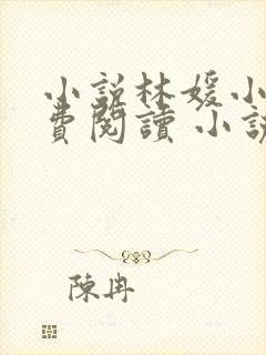 小说林媛小正免费阅读 小说