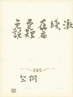 免费在线激情小说短篇封面