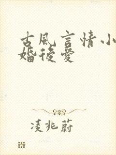 古风言情小说先婚后爱封面