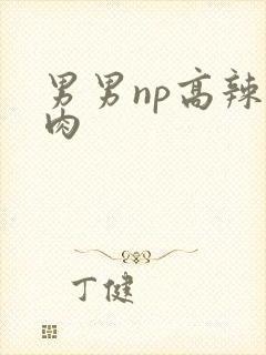 男男np高辣h肉