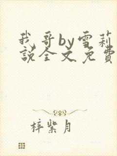 我哥by雪莉小说全文免费阅读