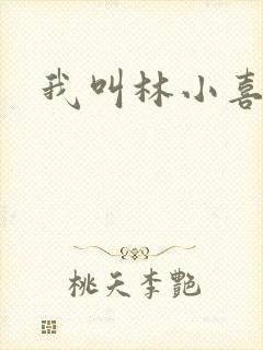 我叫林小喜17