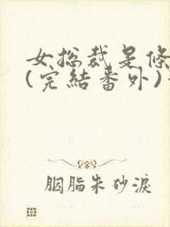 女总裁是条骚狗(完结番外)笔趣阁小说