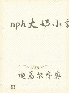 nph大奶小说封面