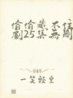 偷偷藏不住电视剧25集无删减