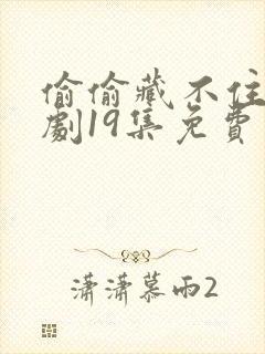 偷偷藏不住广播剧19集免费