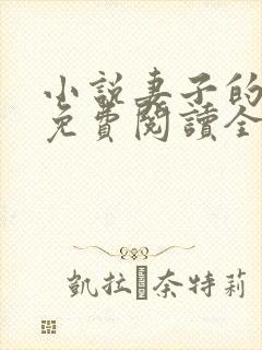 小说妻子的秘密免费阅读全文